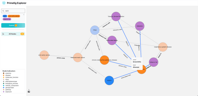 PrimeKG Graph Search 